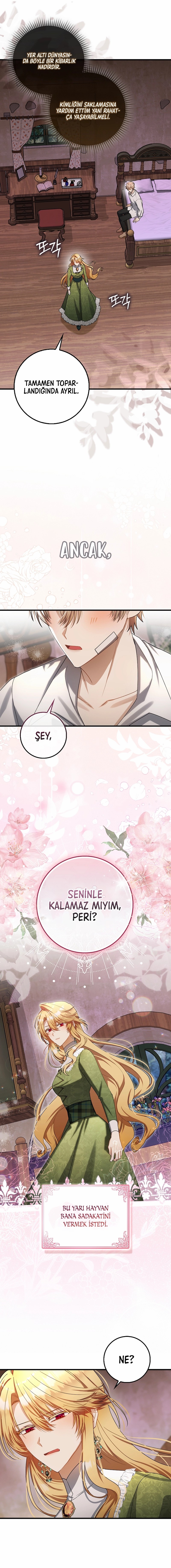 Kötü Kalpli Peri Bölüm 13 - Sayfa 3