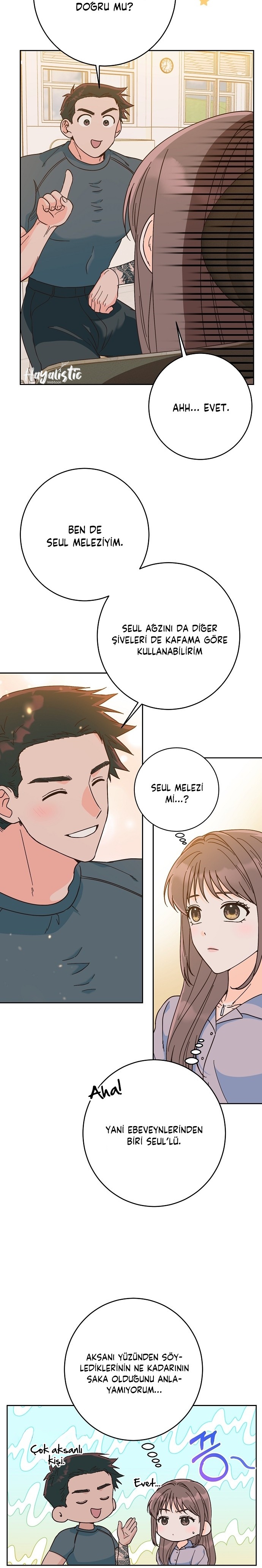 Bahar Ateşi Bölüm 3 - Sayfa 17