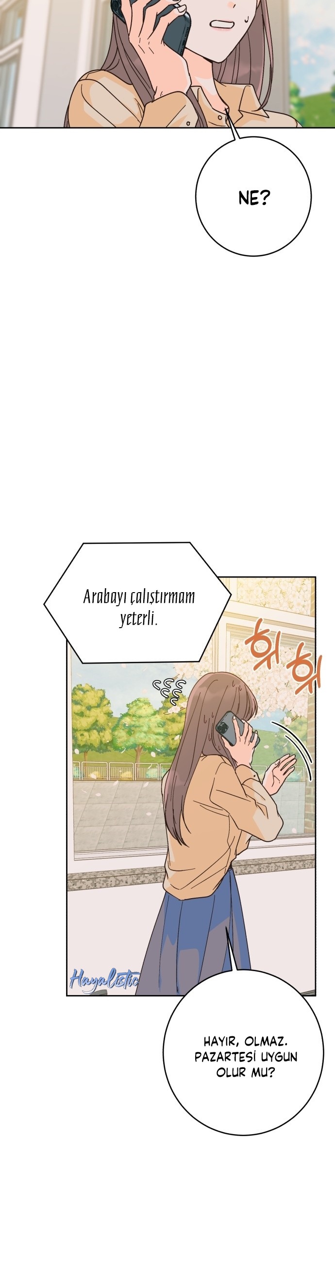 Bahar Ateşi Bölüm 2 - Sayfa 17