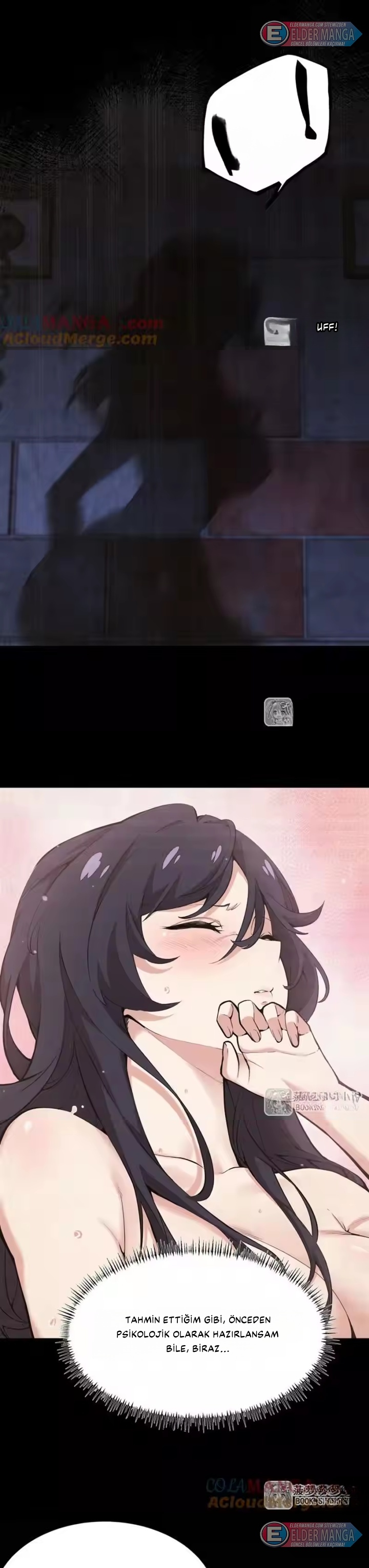 OP Kadın Kahramanın Kötü Adamı Oldum! Bölüm 17 - Sayfa 3