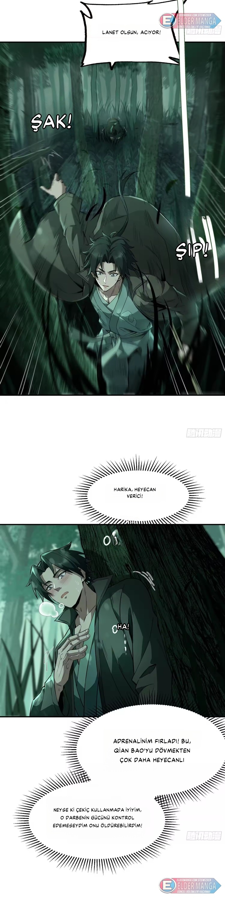 Ölümsüzlüğe Yükselen Dao Ustası Bölüm 16 - Sayfa 19