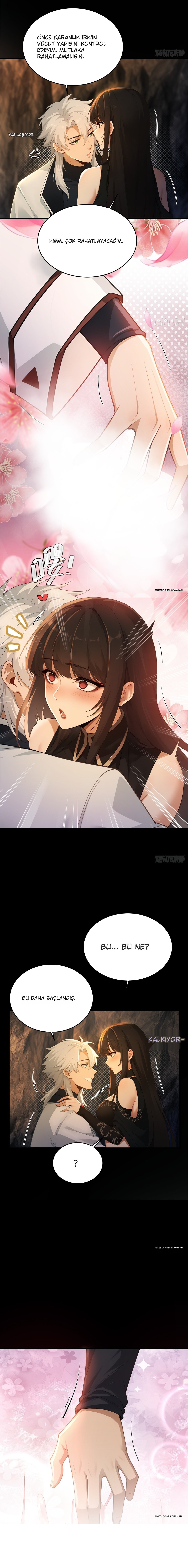 Sonuna Kadar Harem Bölüm 17 - Sayfa 3