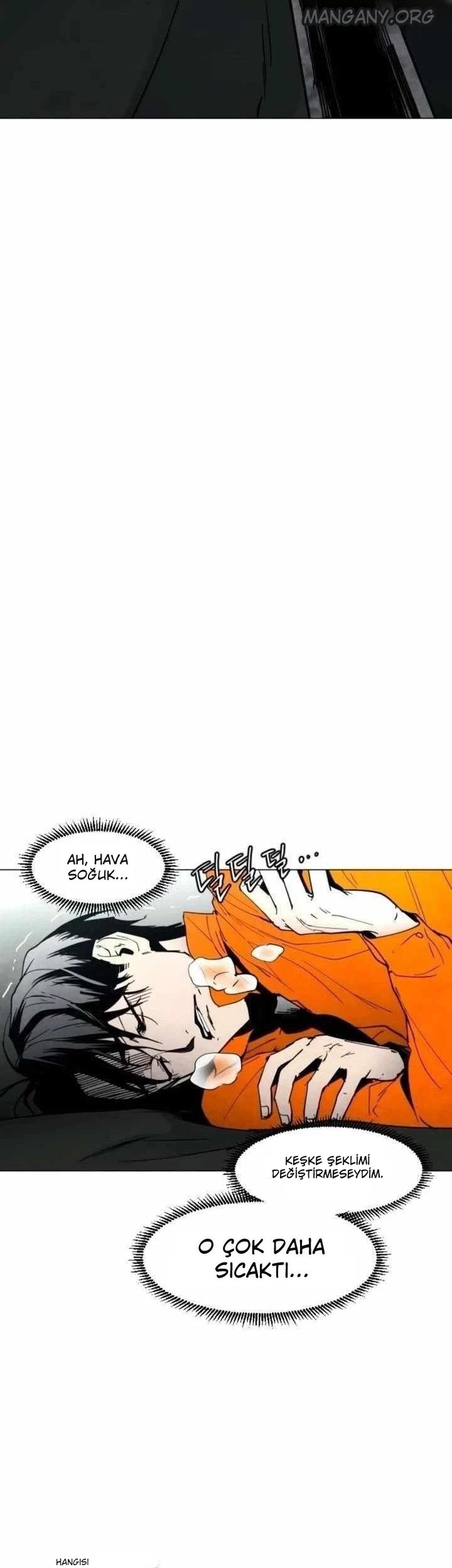 Sis Diyarı Bölüm 13 - Sayfa 2