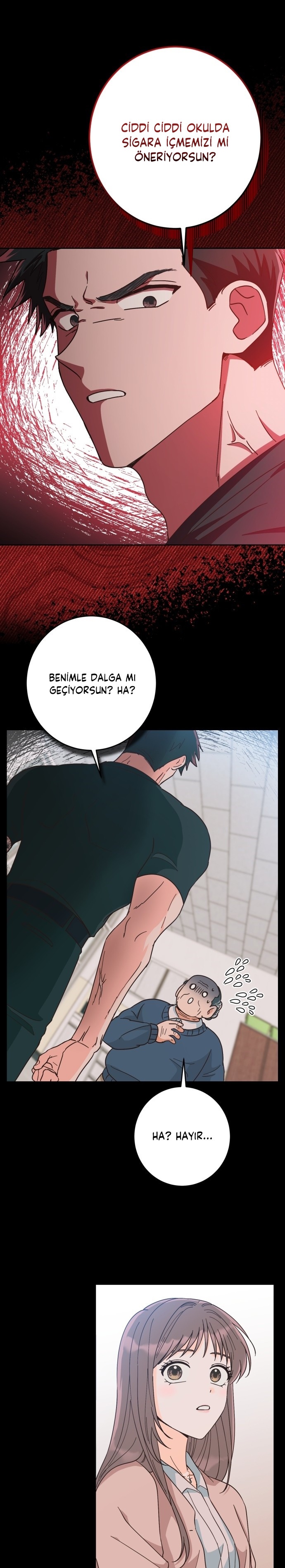 Bahar Ateşi İLK BÖLÜMÜ OKUMAYA GİT - Sayfa 24