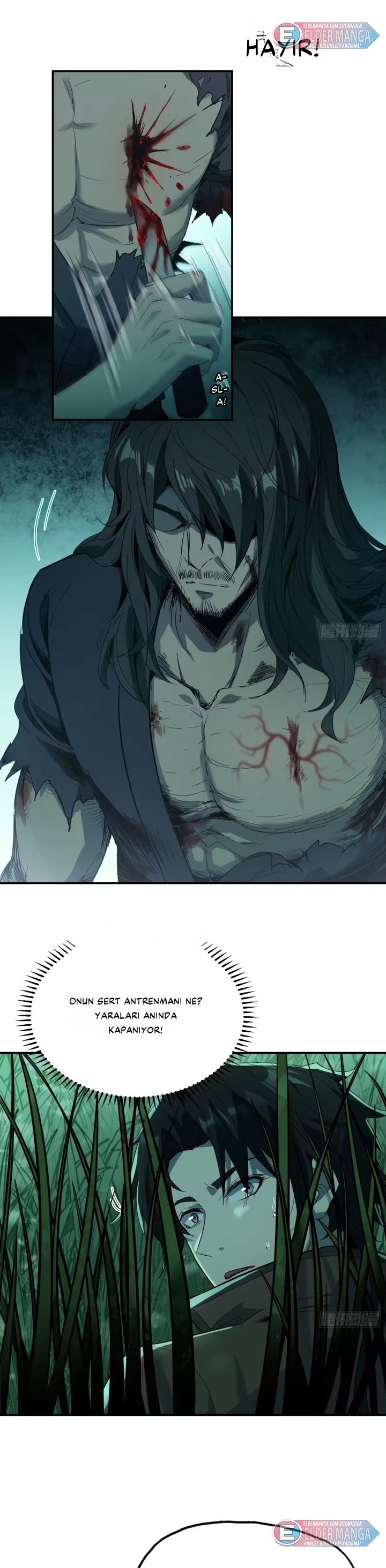 Ölümsüzlüğe Yükselen Dao Ustası Bölüm 17 - Sayfa 15