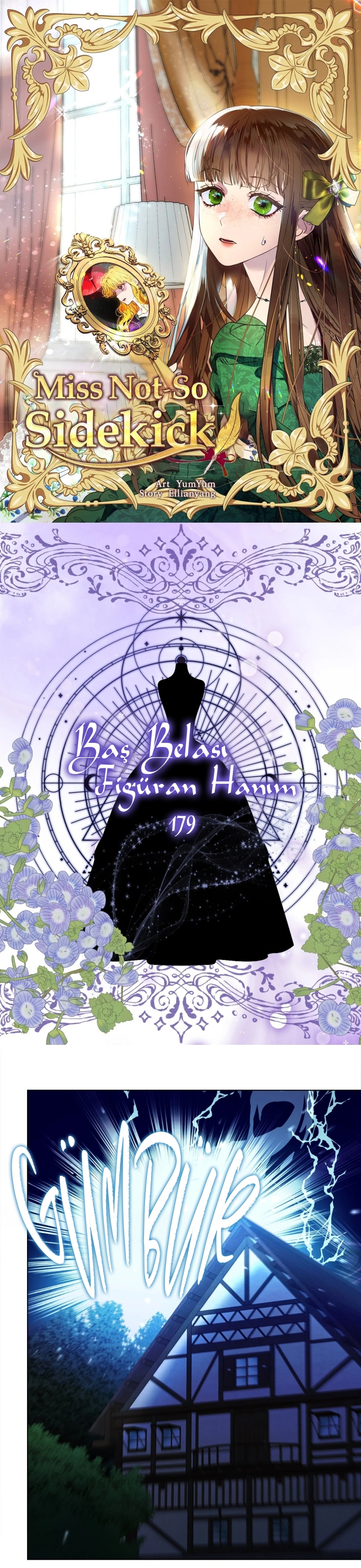 Miss Not-So Sidekick Bölüm 179 - Sayfa 1