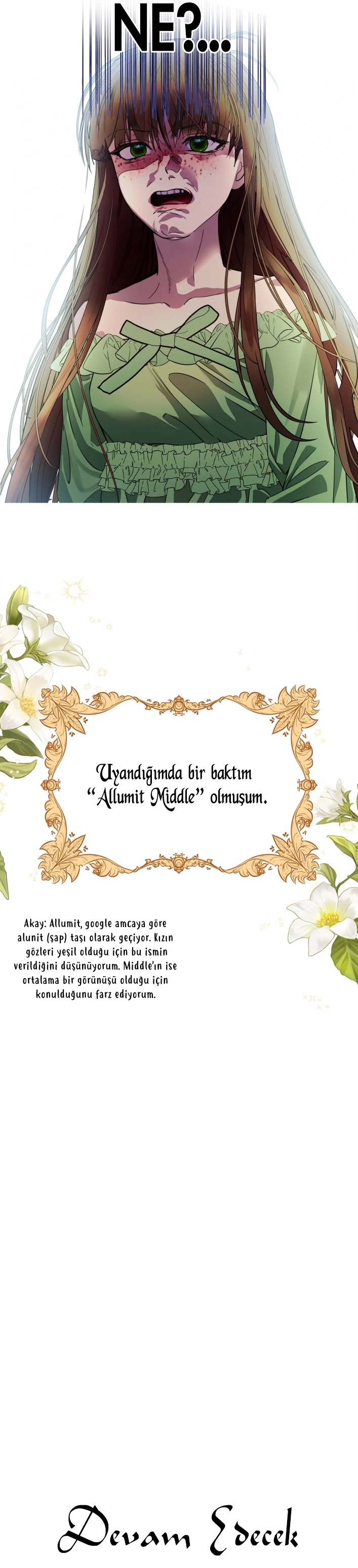 Miss Not-So Sidekick Bölüm 179 - Sayfa 22