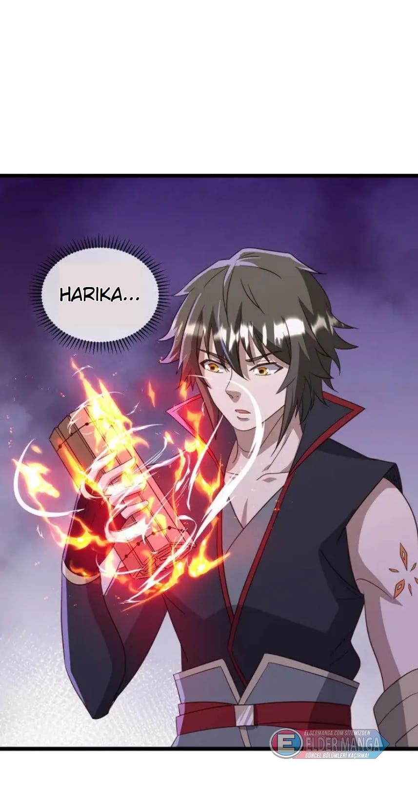 Eşsiz Savaş Ruhu Bölüm 666 - Sayfa 3