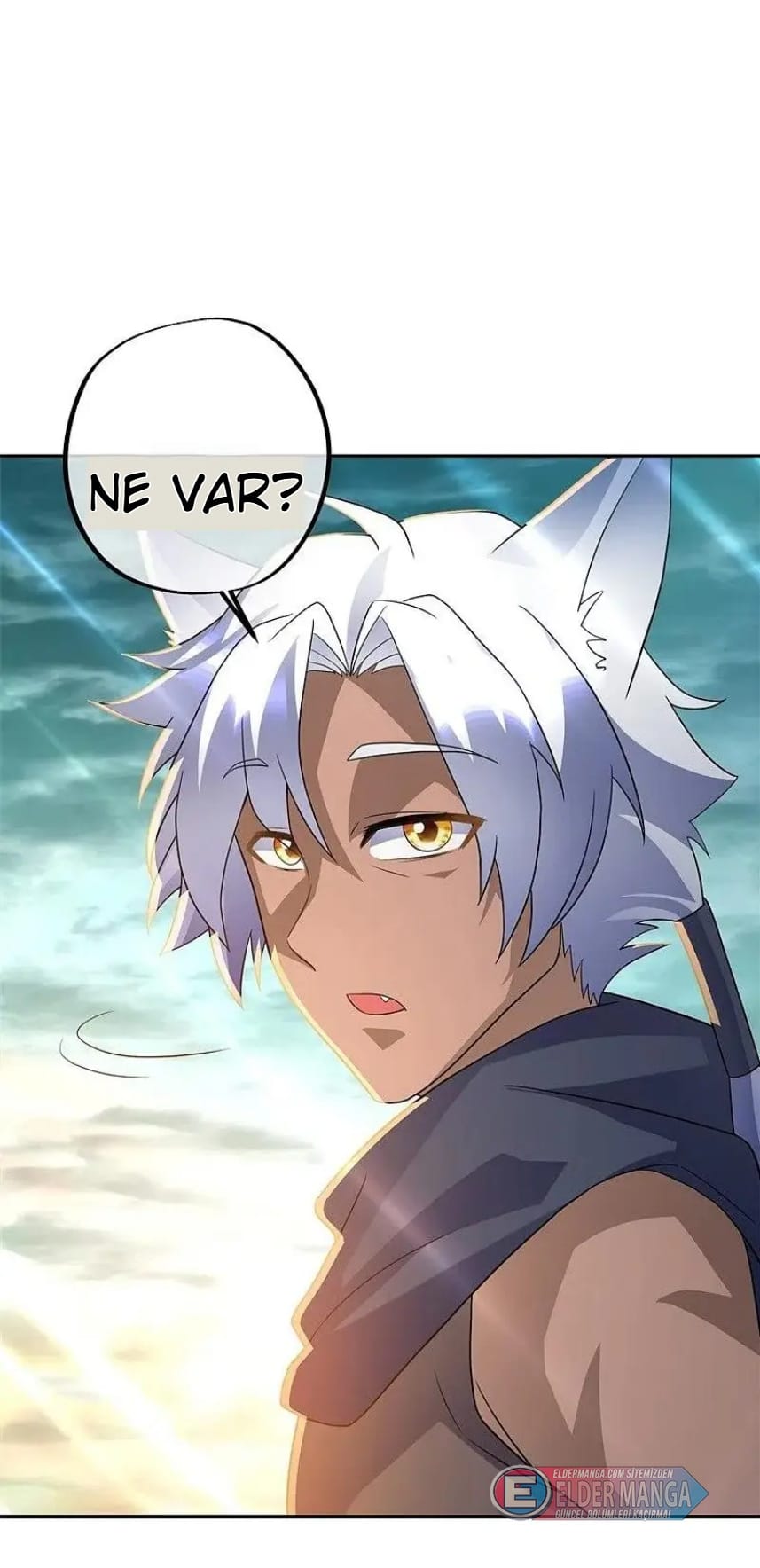 Eşsiz Savaş Ruhu Bölüm 419 - Sayfa 75