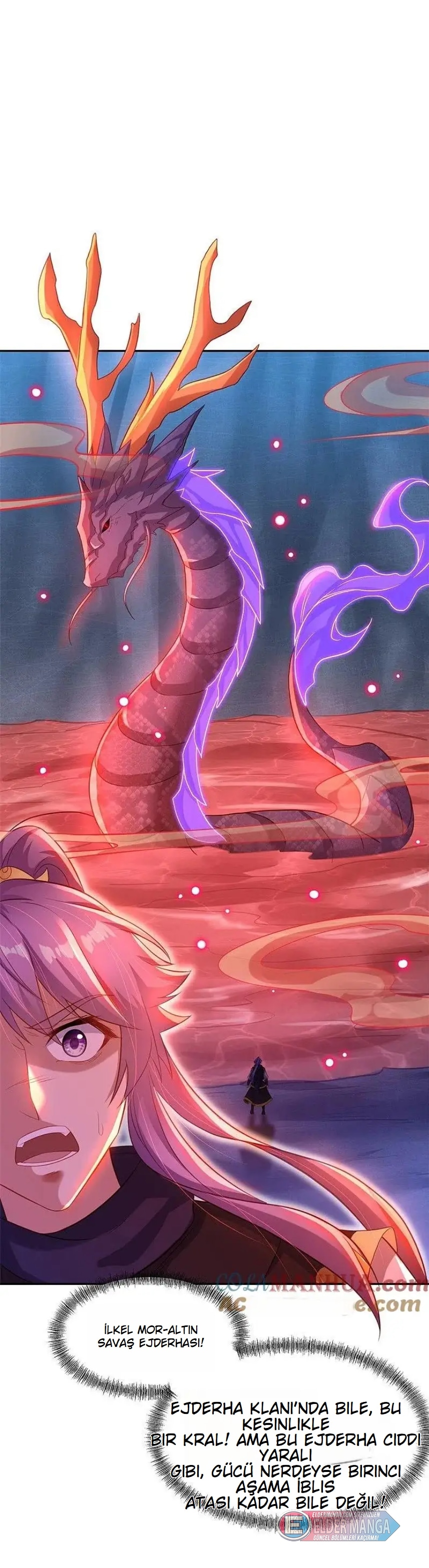 Eşsiz Savaş Ruhu Bölüm 387 - Sayfa 40