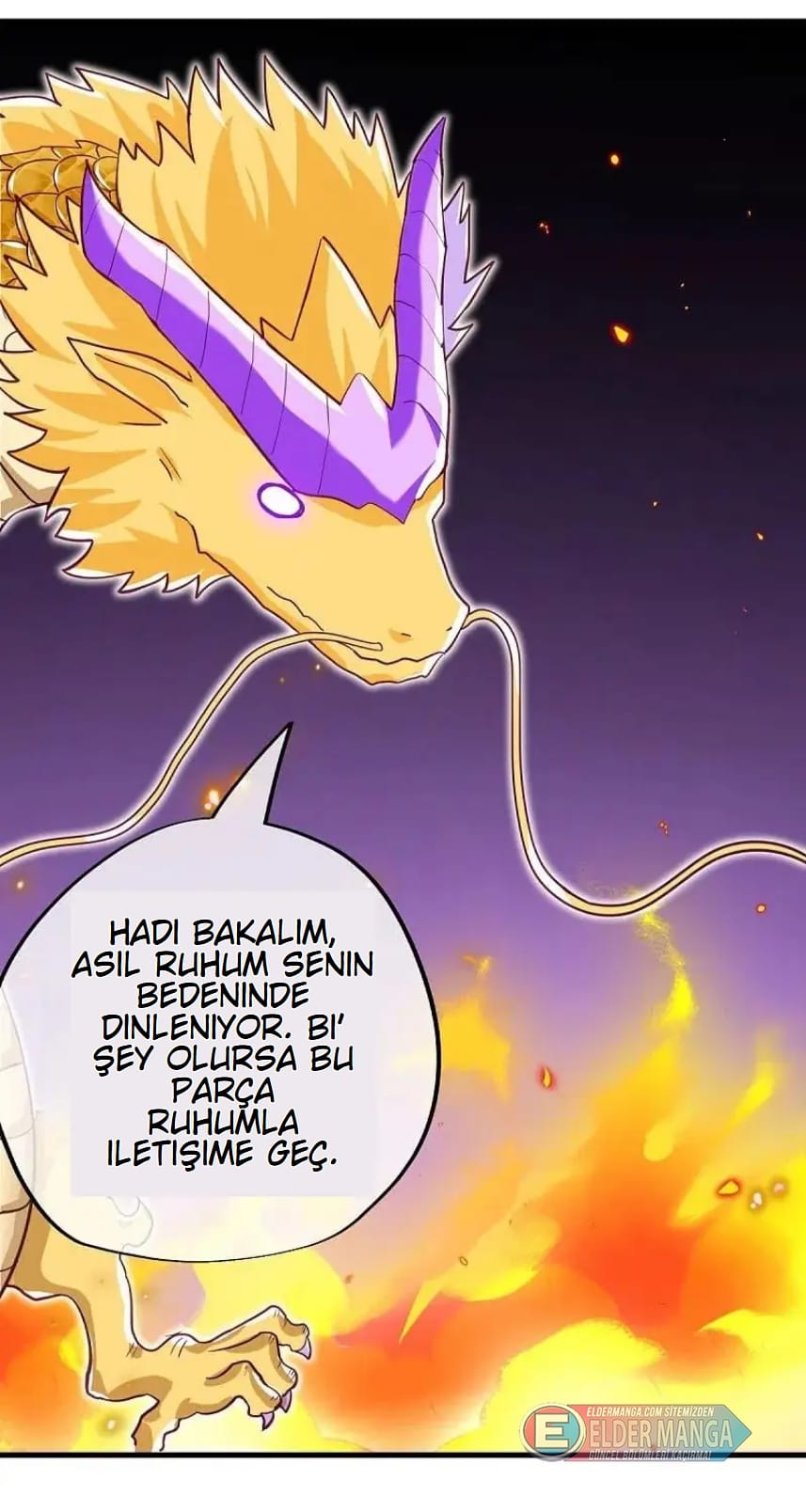 Eşsiz Savaş Ruhu Bölüm 515 - Sayfa 3