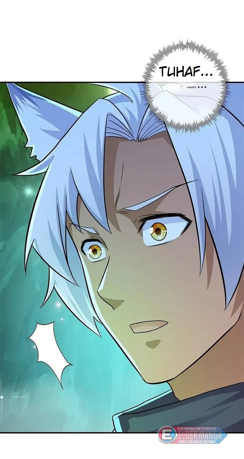 Eşsiz Savaş Ruhu Bölüm 397 - Sayfa 6