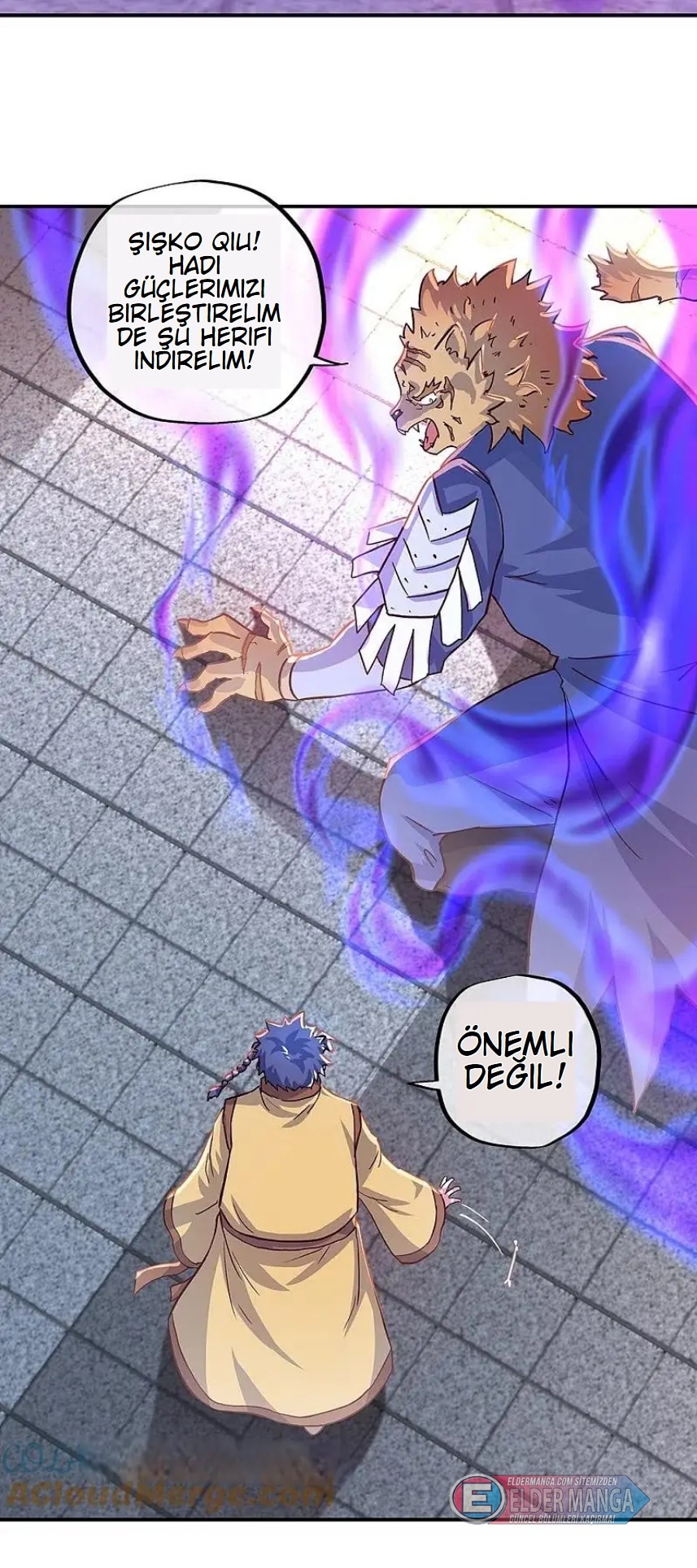 Eşsiz Savaş Ruhu Bölüm 340 - Sayfa 13