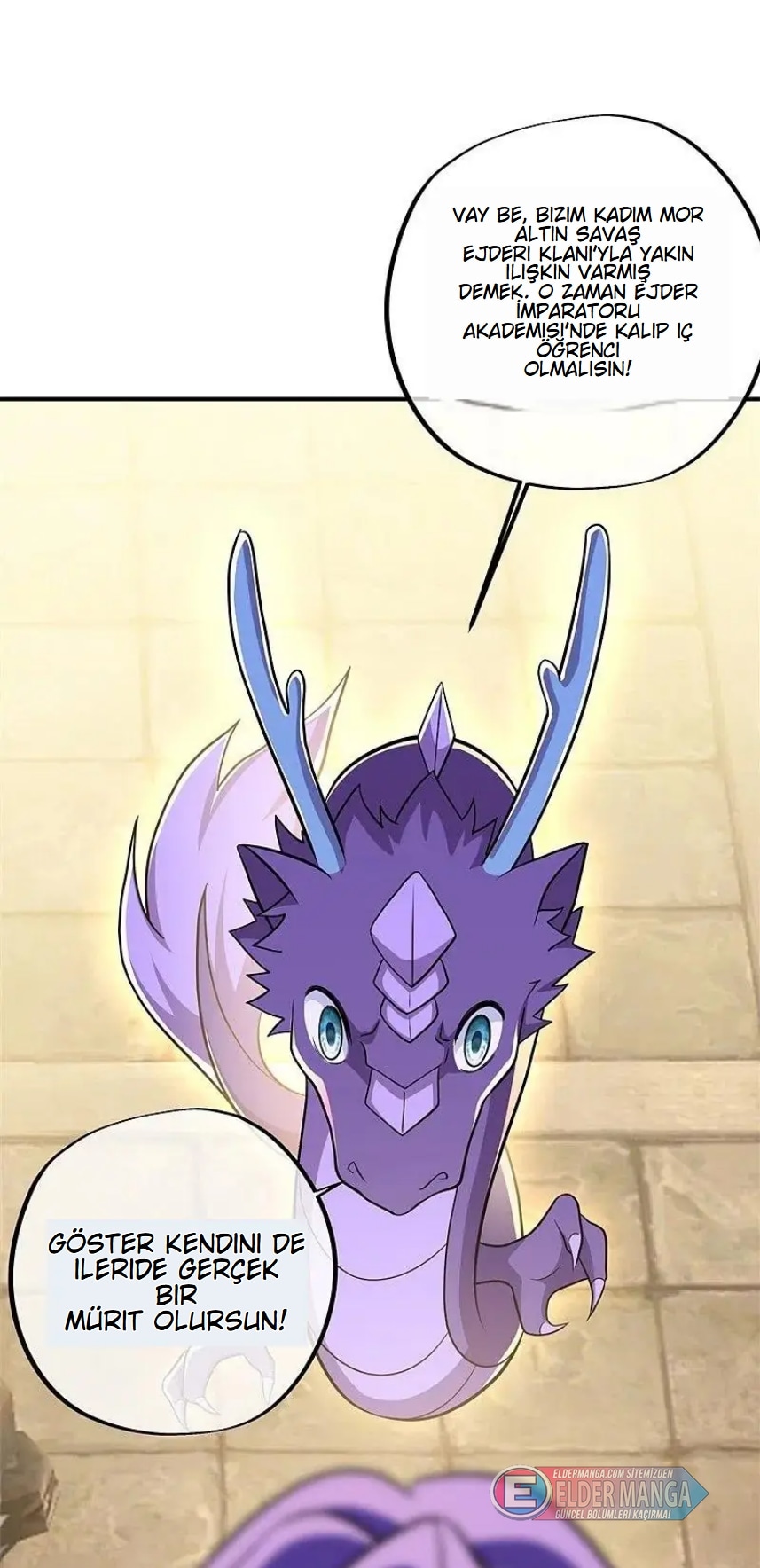 Eşsiz Savaş Ruhu Bölüm 390 - Sayfa 35