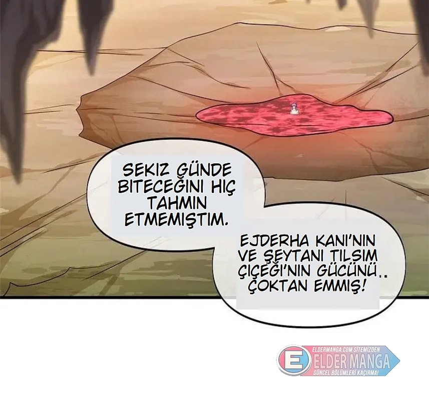 Eşsiz Savaş Ruhu Bölüm 388 - Sayfa 3