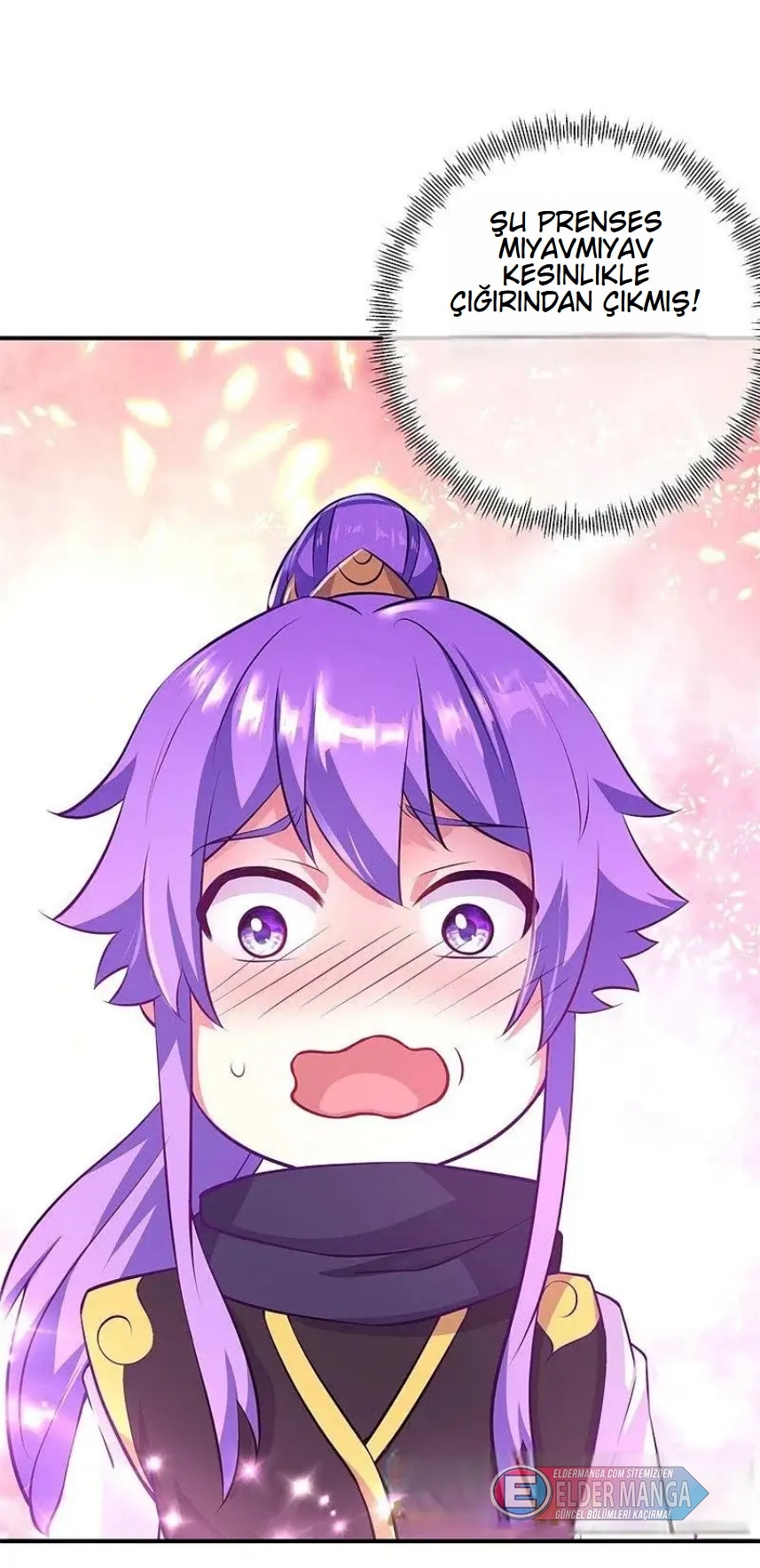 Eşsiz Savaş Ruhu Bölüm 377 - Sayfa 13