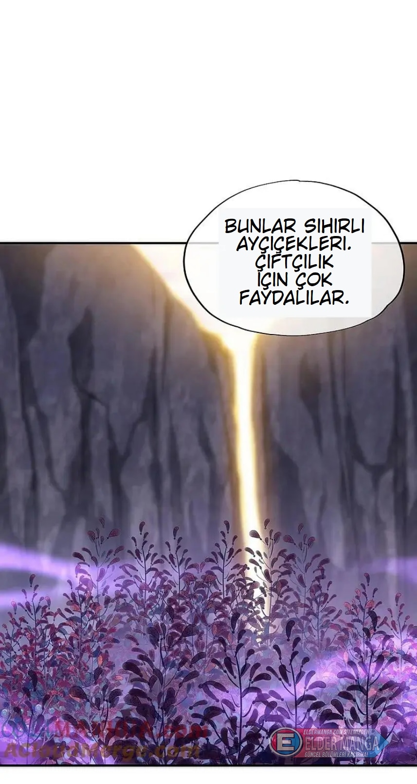 Eşsiz Savaş Ruhu Bölüm 354 - Sayfa 40