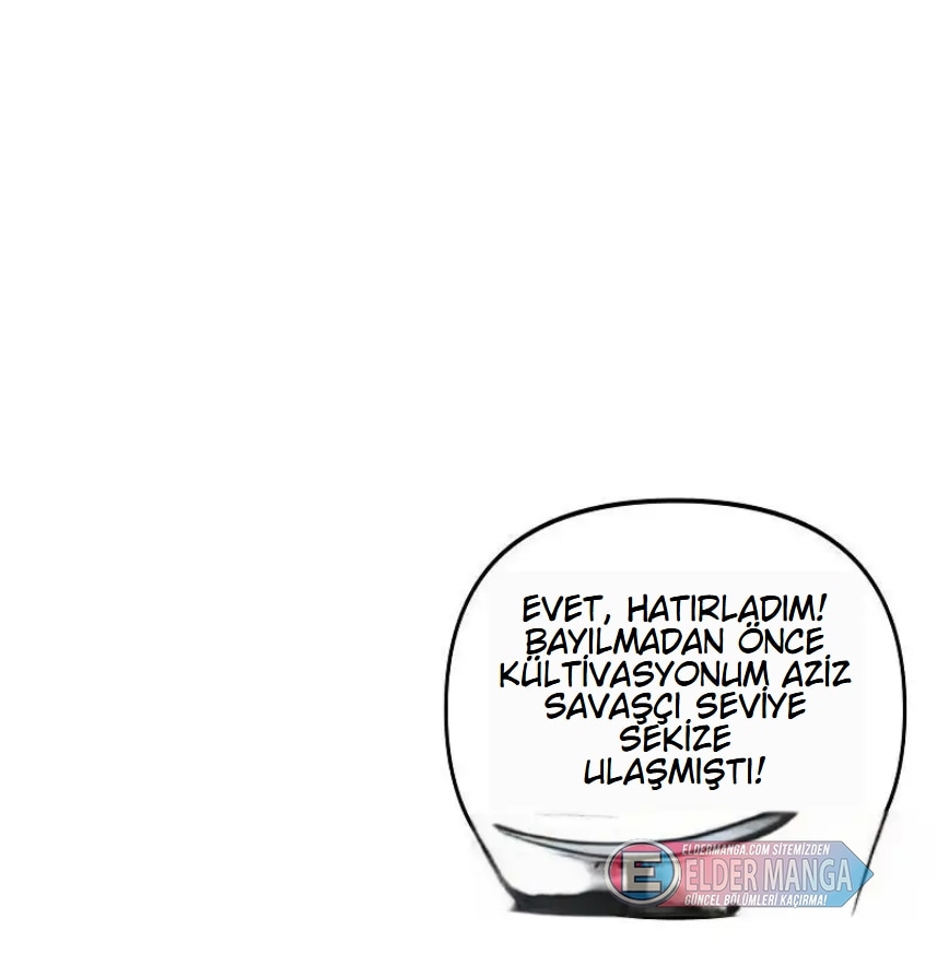 Eşsiz Savaş Ruhu Bölüm 385 - Sayfa 52