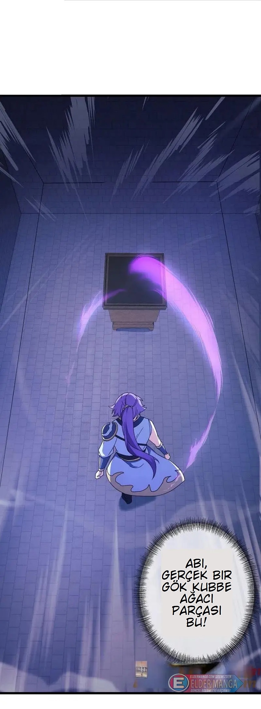 Eşsiz Savaş Ruhu Bölüm 477 - Sayfa 35