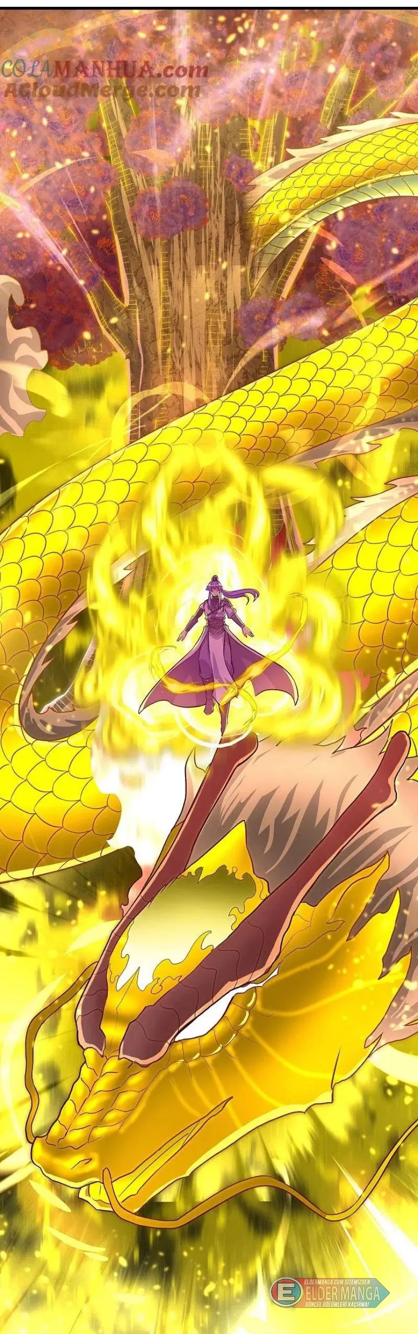 Eşsiz Savaş Ruhu Bölüm 457 - Sayfa 22