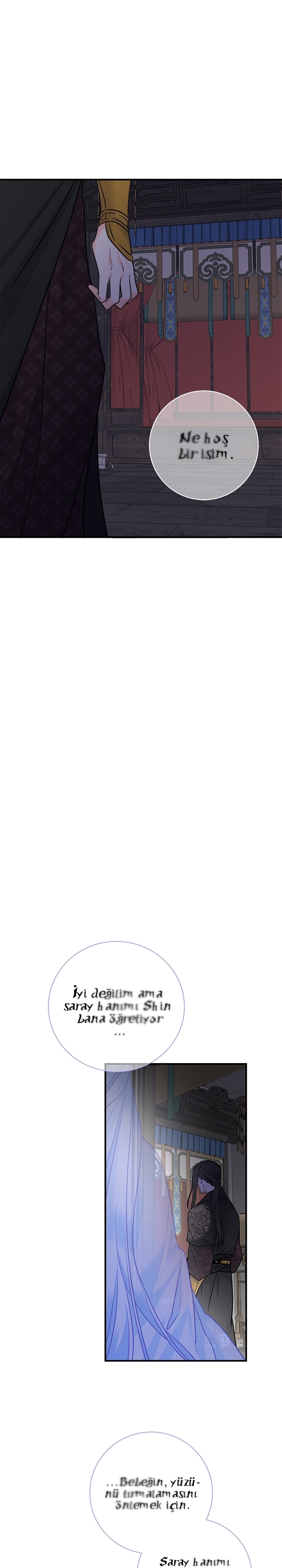 Majestelerinin Gizli Kahramanı Bölüm 188 - Sayfa 16