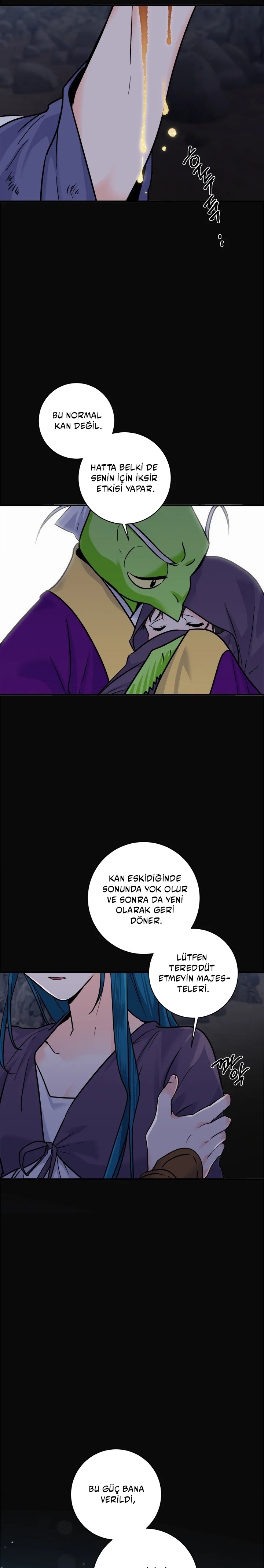 Majestelerinin Gizli Kahramanı Bölüm 196 - Sayfa 11