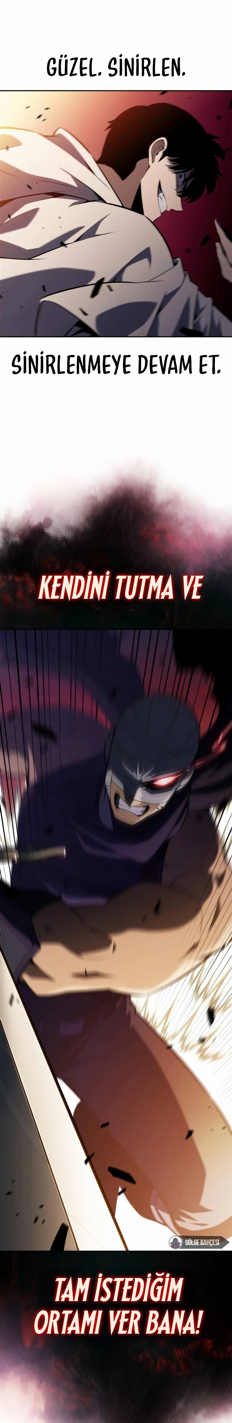 Son Seviye Çaylak Bölüm 219 - Sayfa 13