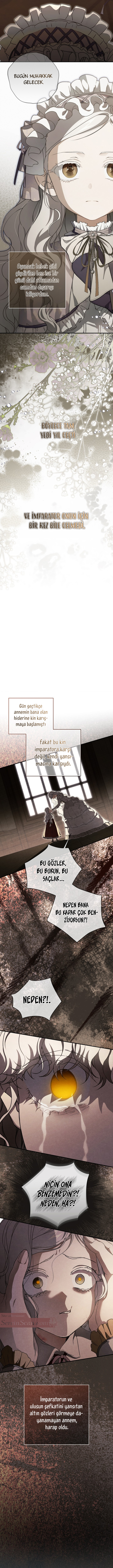 Into The Light Once Again Bölüm 111 - Sayfa 8