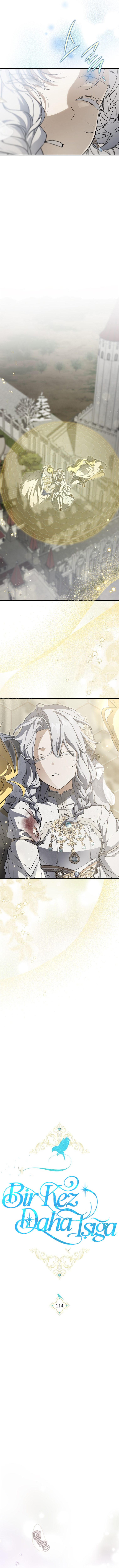 Into The Light Once Again SON BÖLÜMÜ OKUMAYA GİT - Sayfa 5