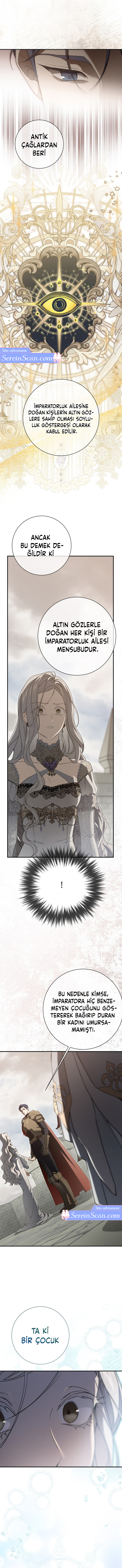 Into The Light Once Again Bölüm 113 - Sayfa 3