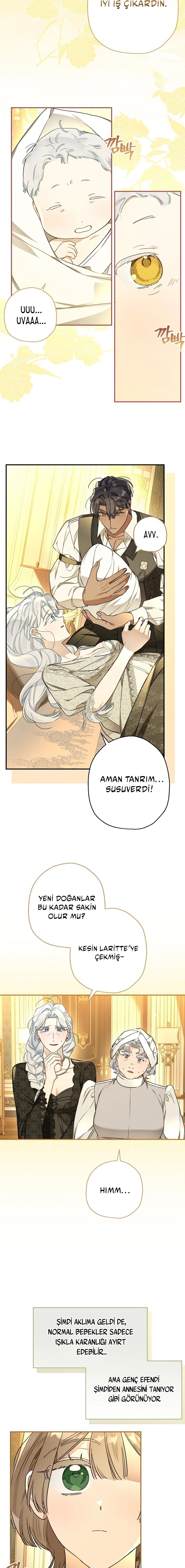 Kont’un Gayrimeşru Çocugu Evlenirse Bölüm 107 - Sayfa 19