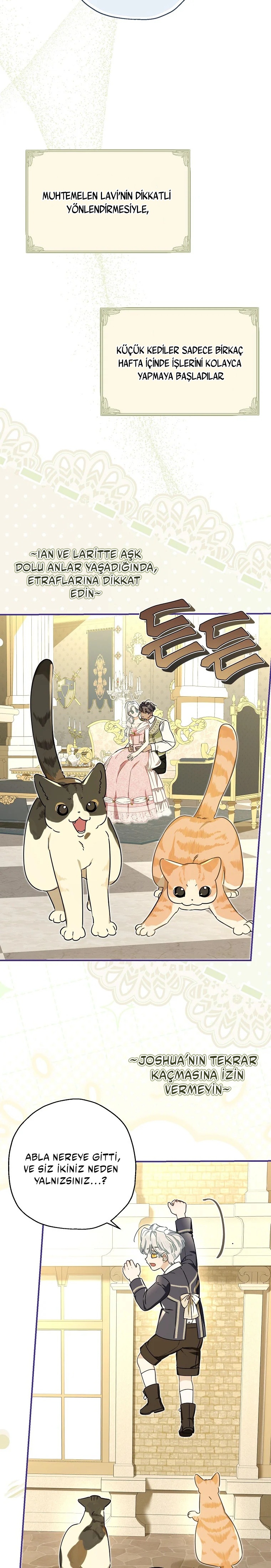 Kont’un Gayrimeşru Çocugu Evlenirse Bölüm 114 - Sayfa 5