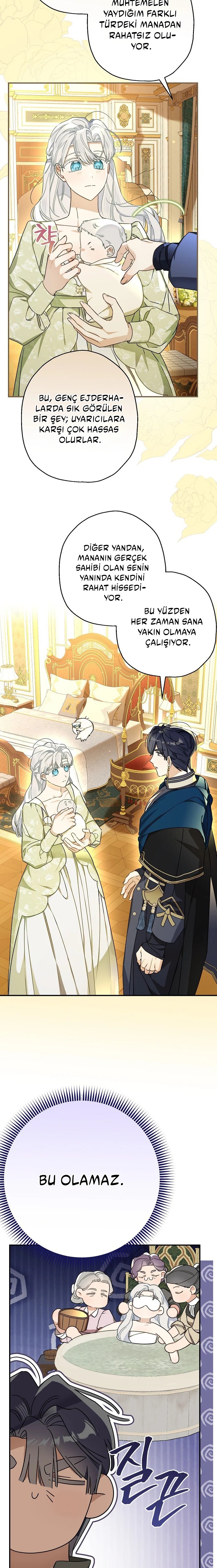 Kont’un Gayrimeşru Çocugu Evlenirse Bölüm 108 - Sayfa 22