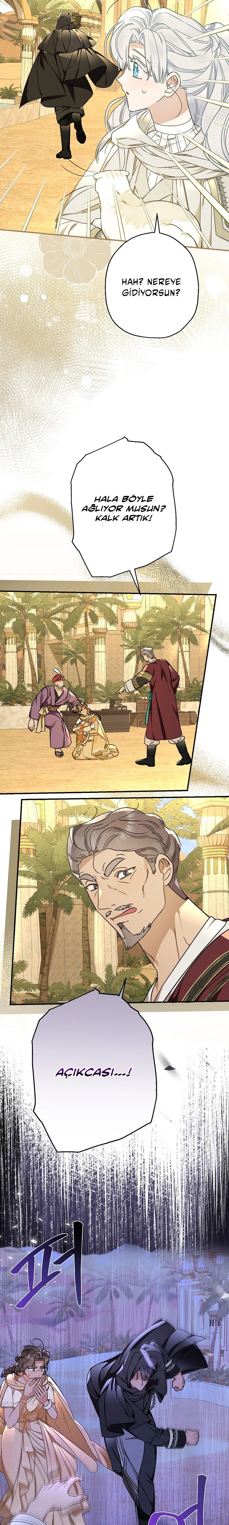 Kont’un Gayrimeşru Çocugu Evlenirse Bölüm 113 - Sayfa 11