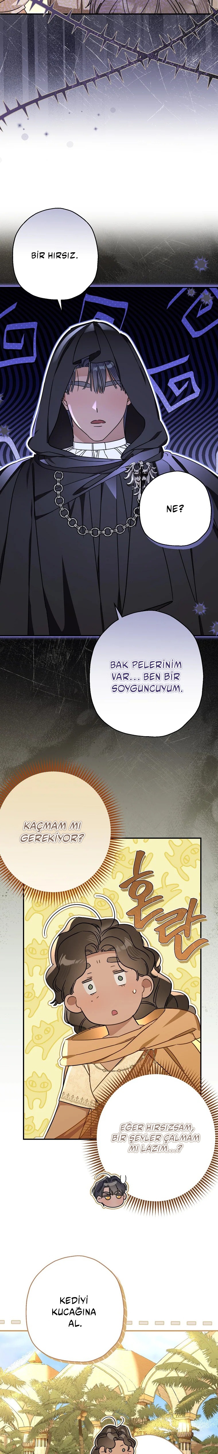 Kont’un Gayrimeşru Çocugu Evlenirse Bölüm 113 - Sayfa 13