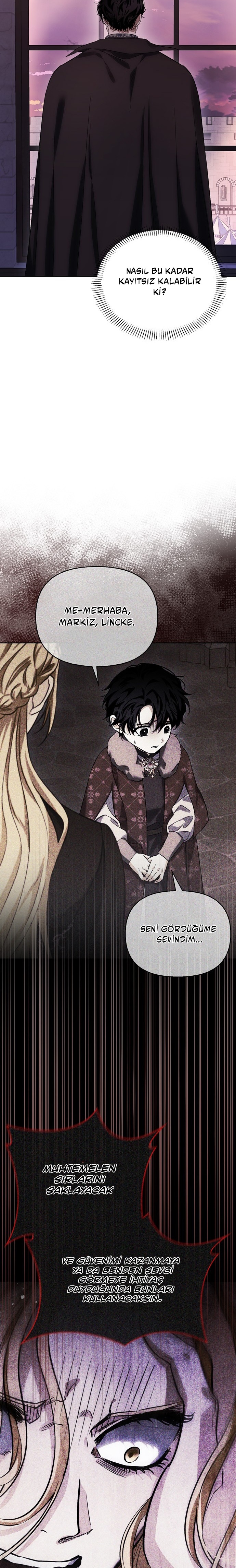 I Tamed My Ex-Husbands Mad Dog Bölüm 83 - Sayfa 12