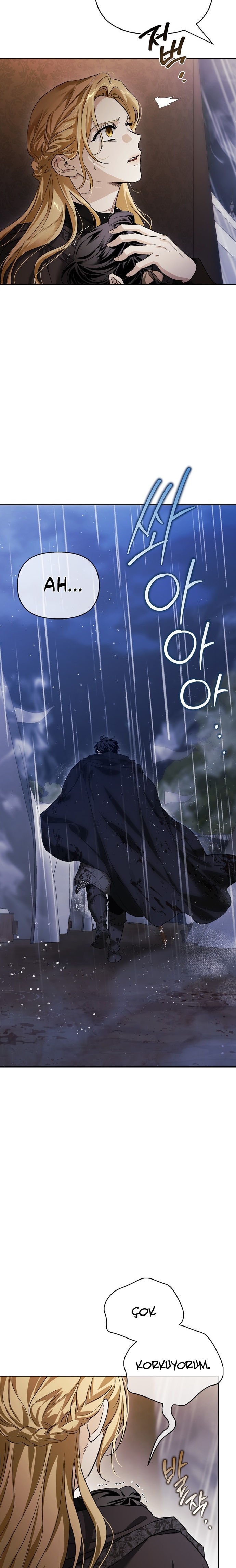 I Tamed My Ex-Husbands Mad Dog Bölüm 81 - Sayfa 2