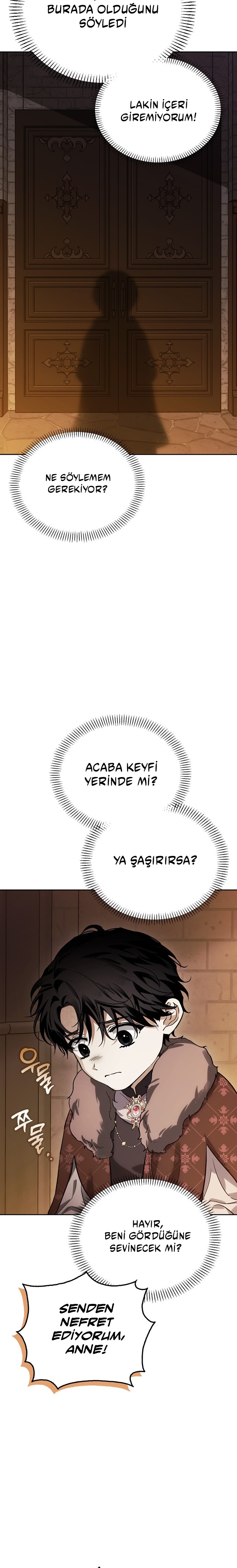 I Tamed My Ex-Husbands Mad Dog Bölüm 81 - Sayfa 20