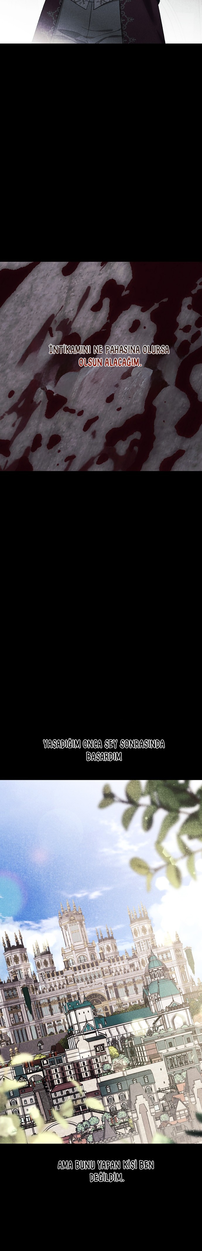 I Tamed My Ex-Husbands Mad Dog Bölüm 84 - Sayfa 11