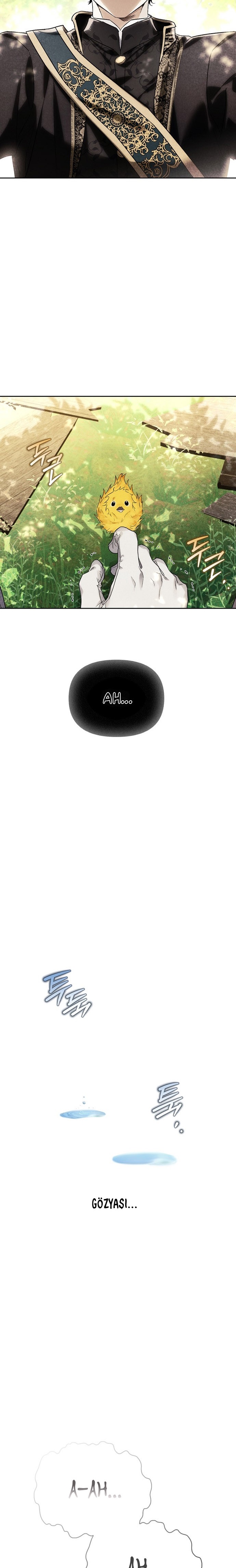 I Tamed My Ex-Husbands Mad Dog Bölüm 89 - Sayfa 5