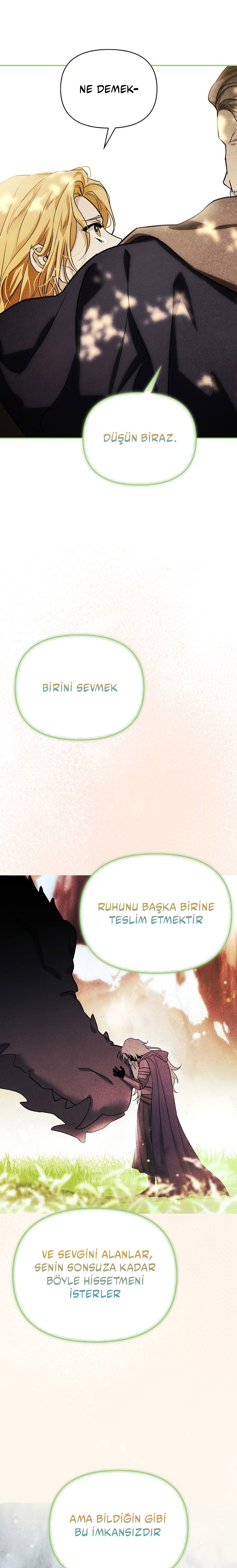 I Tamed My Ex-Husbands Mad Dog Bölüm 89 - Sayfa 8