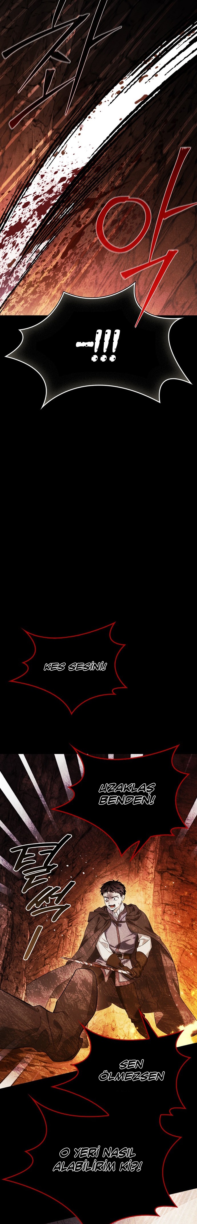 I Tamed My Ex-Husbands Mad Dog Bölüm 91 - Sayfa 11