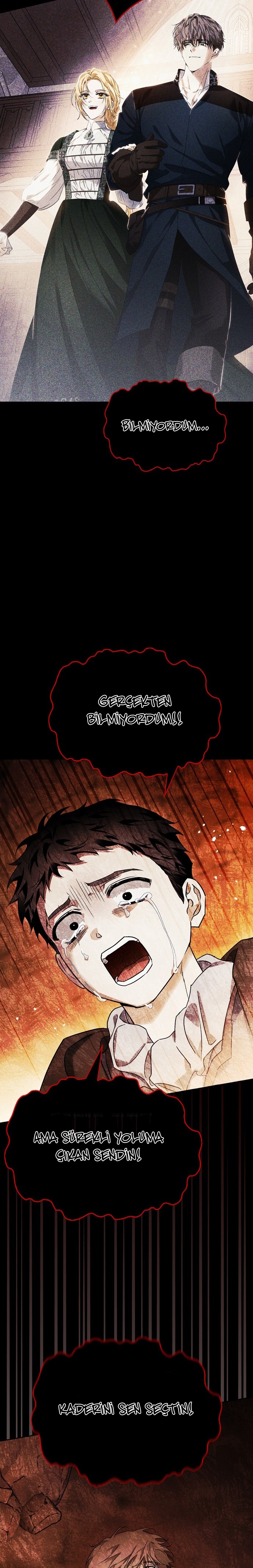 I Tamed My Ex-Husbands Mad Dog Bölüm 91 - Sayfa 12