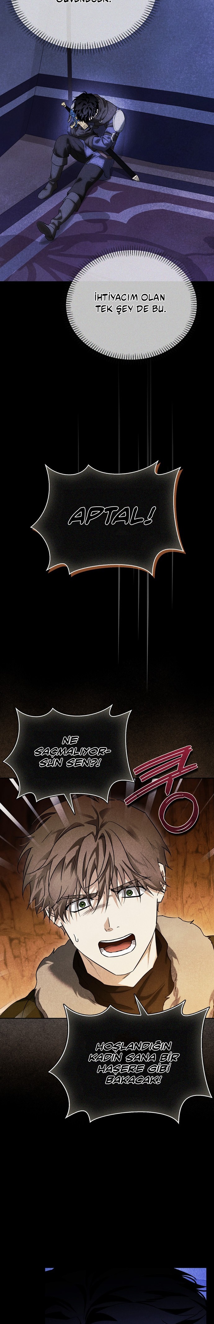 I Tamed My Ex-Husbands Mad Dog Bölüm 91 - Sayfa 8