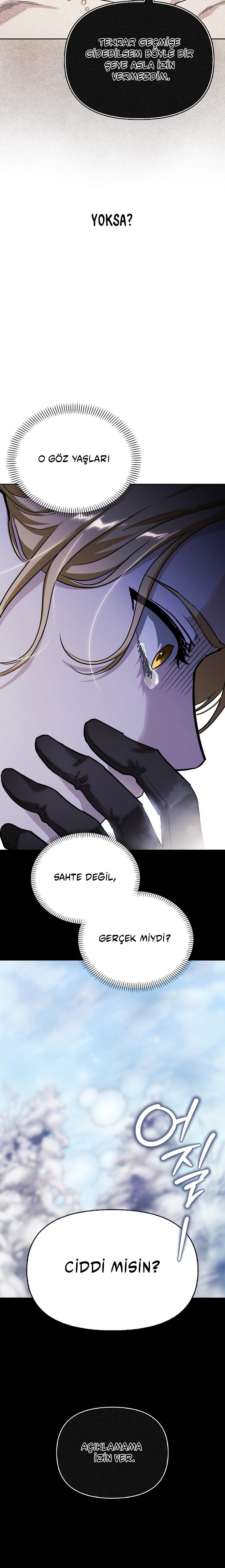 I Tamed My Ex-Husbands Mad Dog Bölüm 86 - Sayfa 10