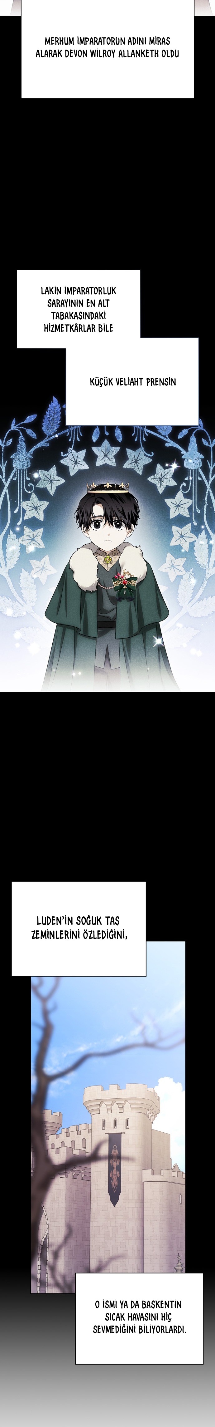 I Tamed My Ex-Husbands Mad Dog Bölüm 77 - Sayfa 14