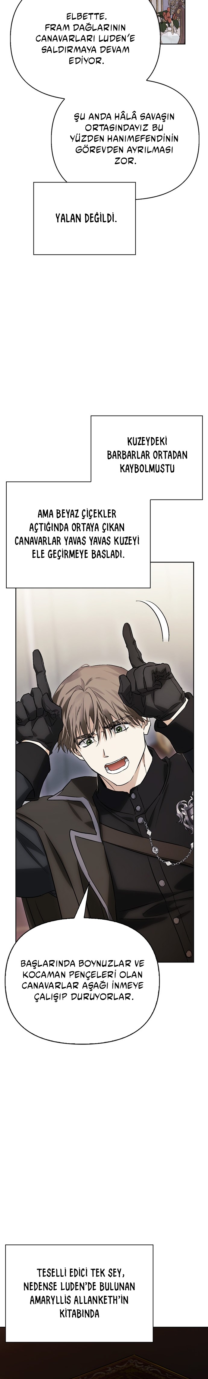 I Tamed My Ex-Husbands Mad Dog Bölüm 77 - Sayfa 17