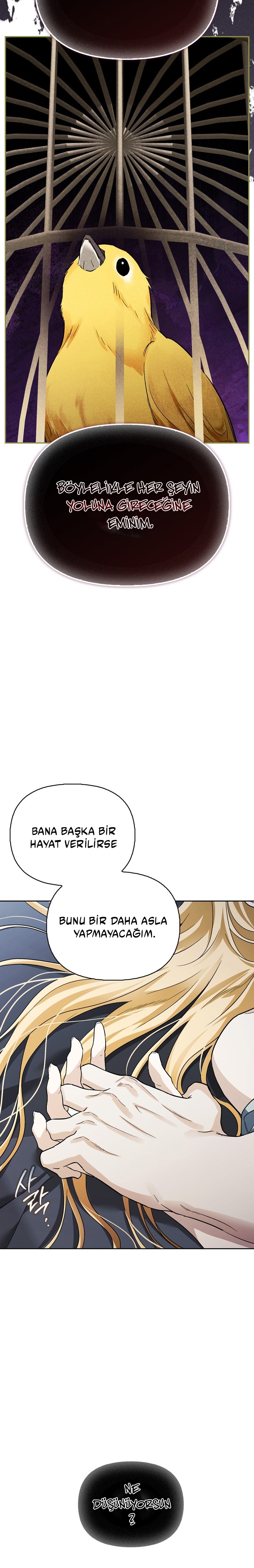 I Tamed My Ex-Husbands Mad Dog Bölüm 76 - Sayfa 20