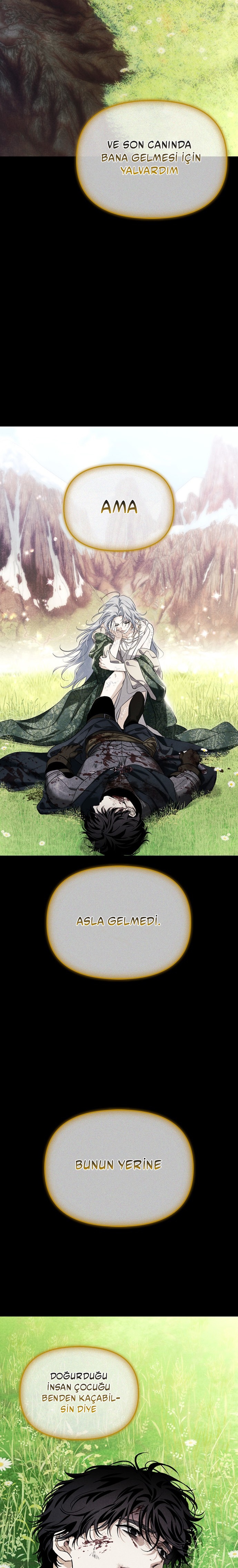 I Tamed My Ex-Husbands Mad Dog Bölüm 87 - Sayfa 8