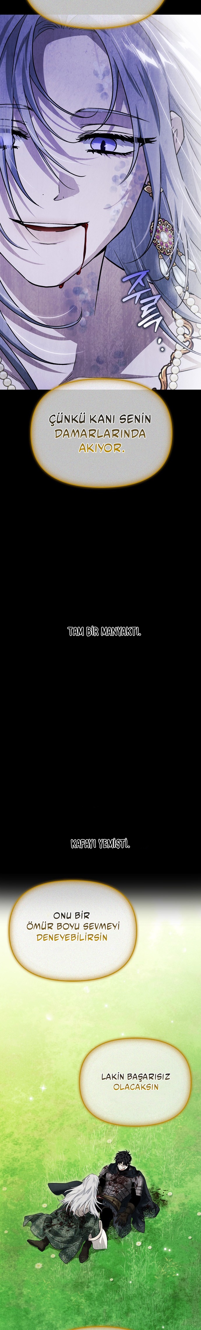 I Tamed My Ex-Husbands Mad Dog Bölüm 87 - Sayfa 13